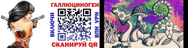 Галлюциногенные грибы Psilocybe Пудож