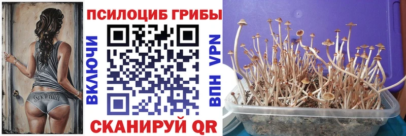 гидра ССЫЛКА  shop как зайти  Галлюциногенные грибы Cubensis  что такое наркотик  Пудож 
