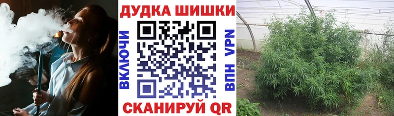 Бошки марихуана Ganja  Пудож 